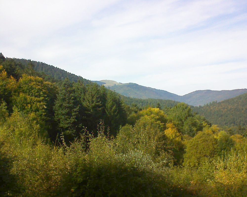 Le petit ballon vu depuis le Domaine Langmatt à Murbach le 18.10.2021 à 15:30 Le petit ballon (Alsace, Vosges) le 18.10.2021 à 15:30