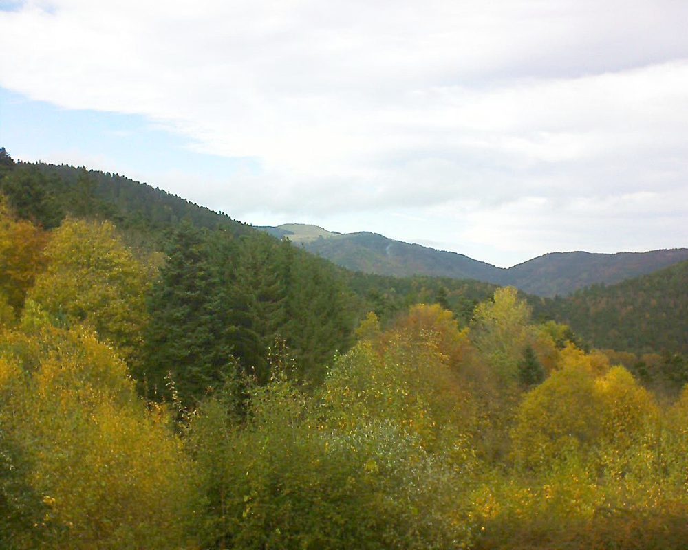 Le petit ballon vu depuis le Domaine Langmatt à Murbach le 01.11.2021 à 12:45 Le petit ballon (Alsace, Vosges) le 01.11.2021 à 12:45