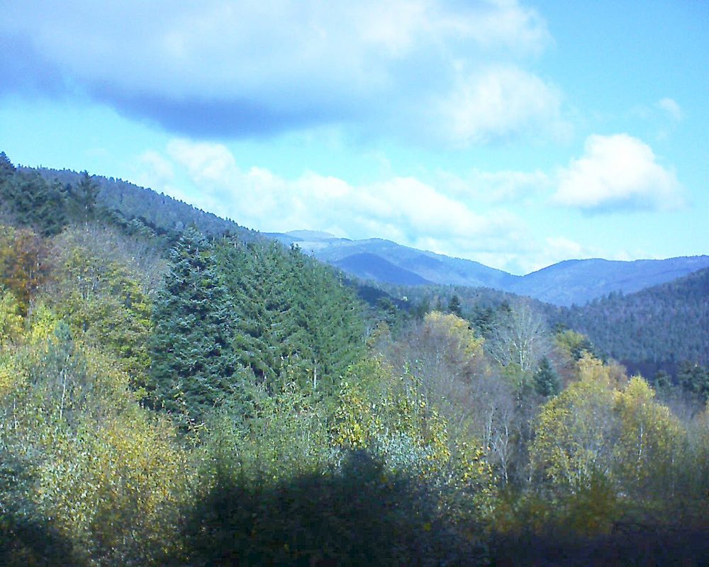 Le petit ballon vu depuis le Domaine Langmatt à Murbach le 08.11.2021 à 11:30 Le petit ballon (Alsace, Vosges) le 08.11.2021 à 11:30