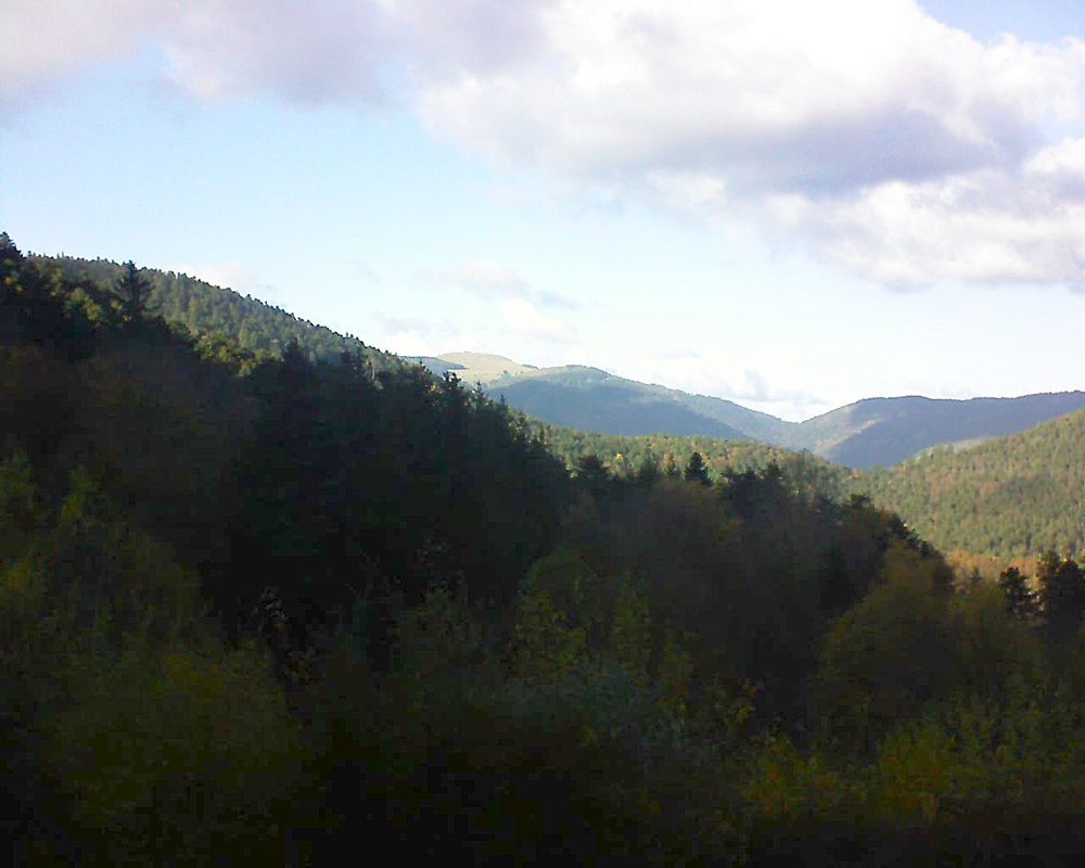Le petit ballon vu depuis le Domaine Langmatt à Murbach le 08.11.2021 à 14:45 Le petit ballon (Alsace, Vosges) le 08.11.2021 à 14:45