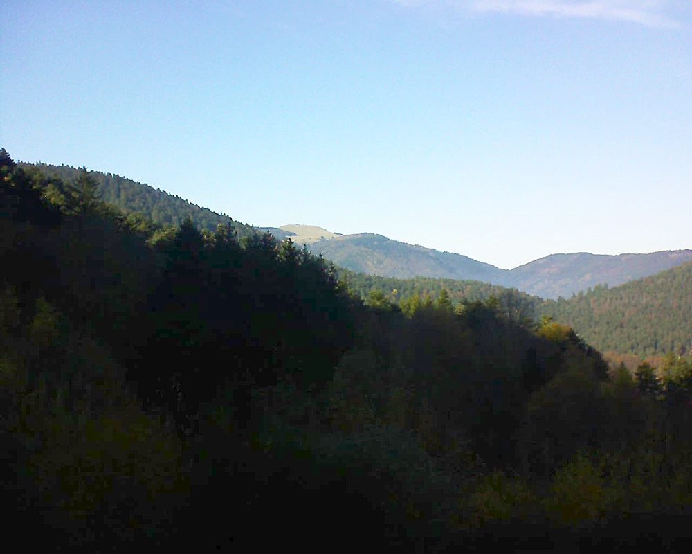 Le petit ballon vu depuis le Domaine Langmatt à Murbach le 12.11.2021 à 14:30 Le petit ballon (Alsace, Vosges) le 12.11.2021 à 14:30