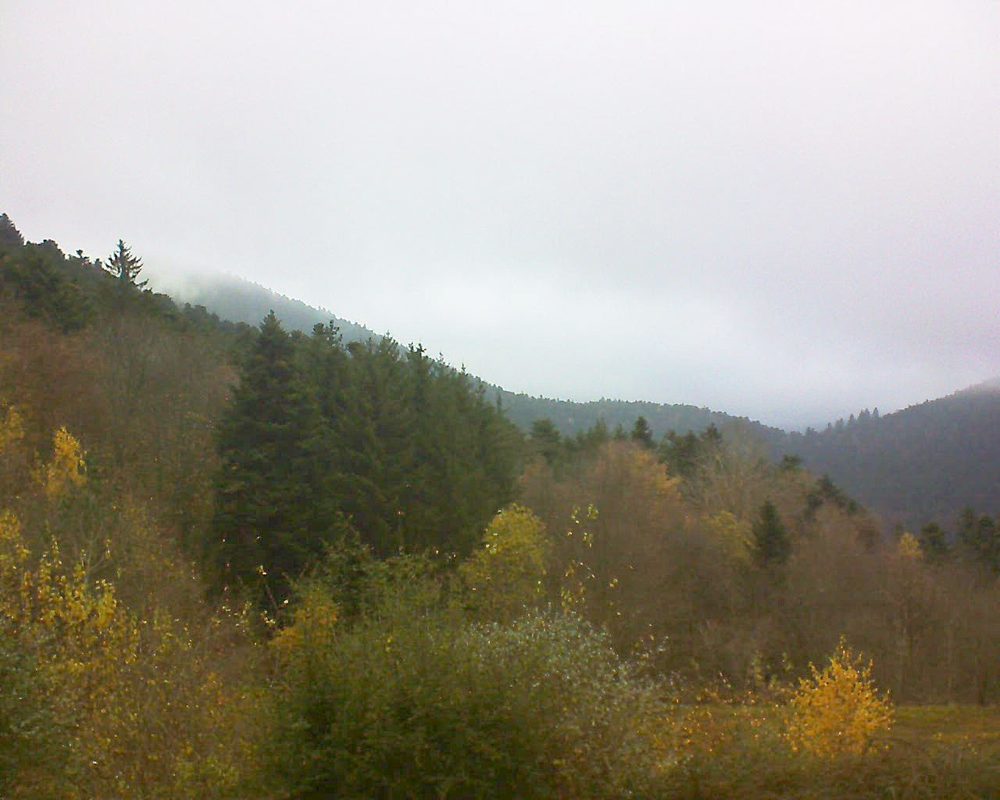 Le petit ballon vu depuis le Domaine Langmatt à Murbach le 22.11.2021 à 14:15 Le petit ballon (Alsace, Vosges) le 22.11.2021 à 14:15