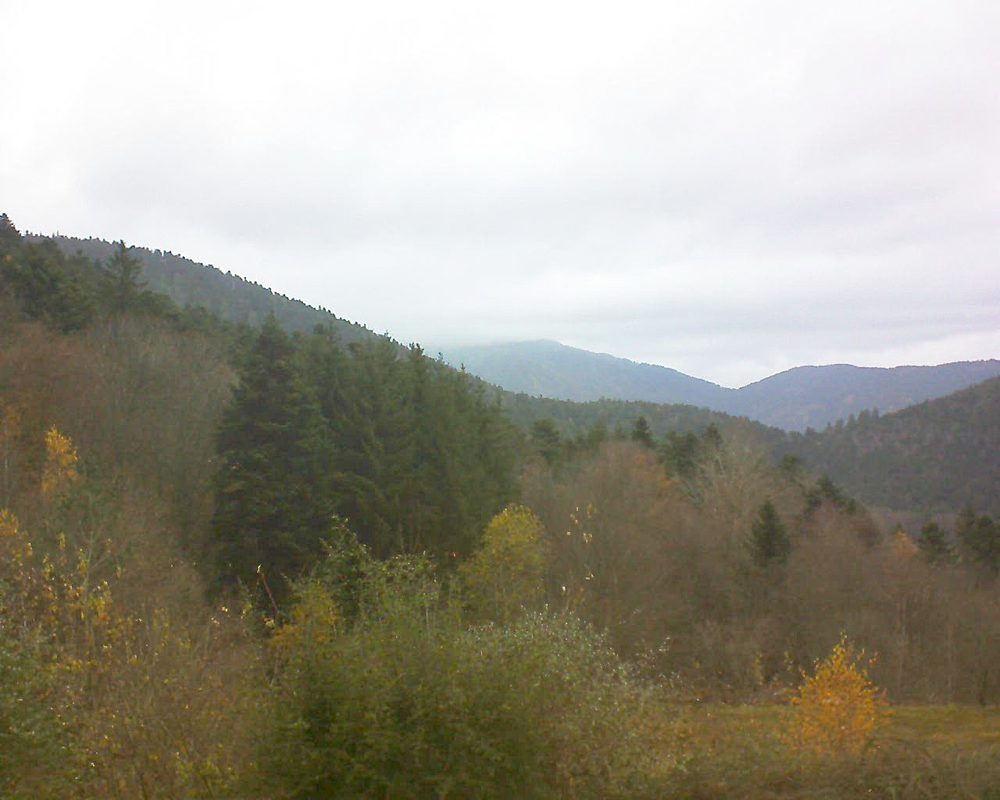 Le petit ballon vu depuis le Domaine Langmatt à Murbach le 26.11.2021 à 14:30 Le petit ballon (Alsace, Vosges) le 26.11.2021 à 14:30