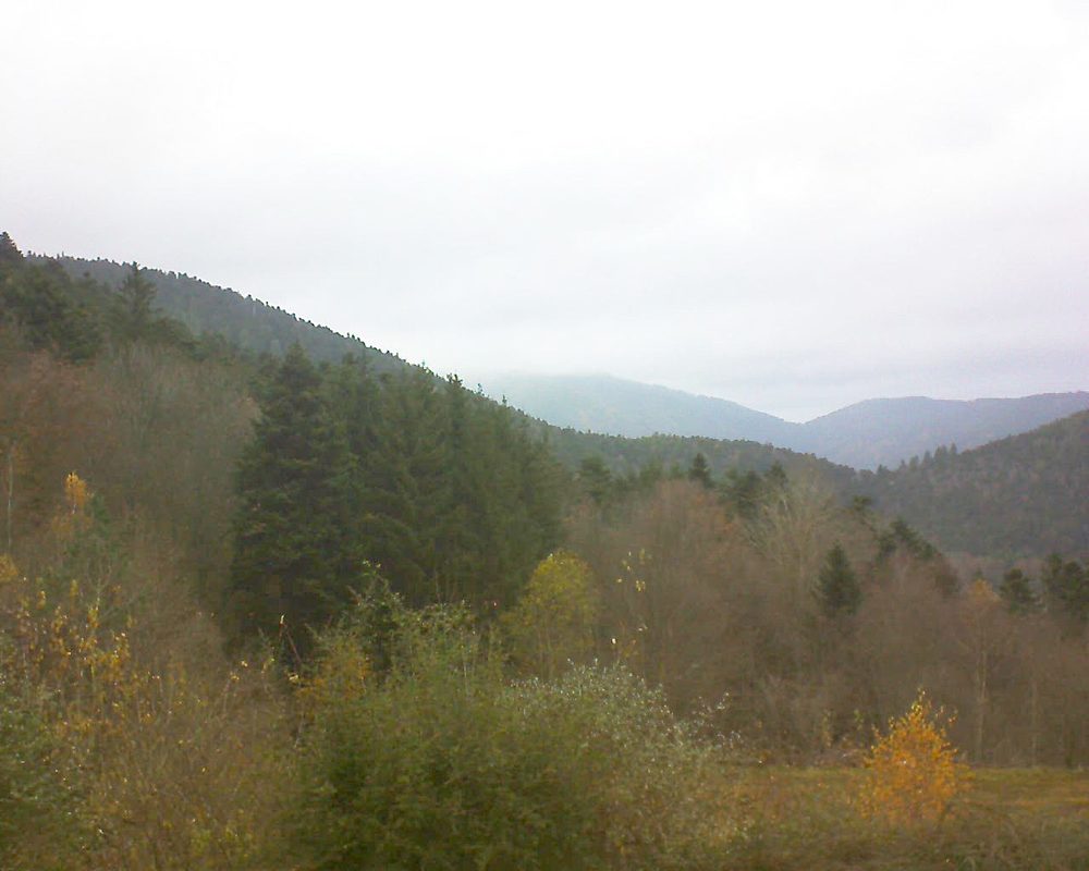 Le petit ballon vu depuis le Domaine Langmatt à Murbach le 26.11.2021 à 14:45 Le petit ballon (Alsace, Vosges) le 26.11.2021 à 14:45