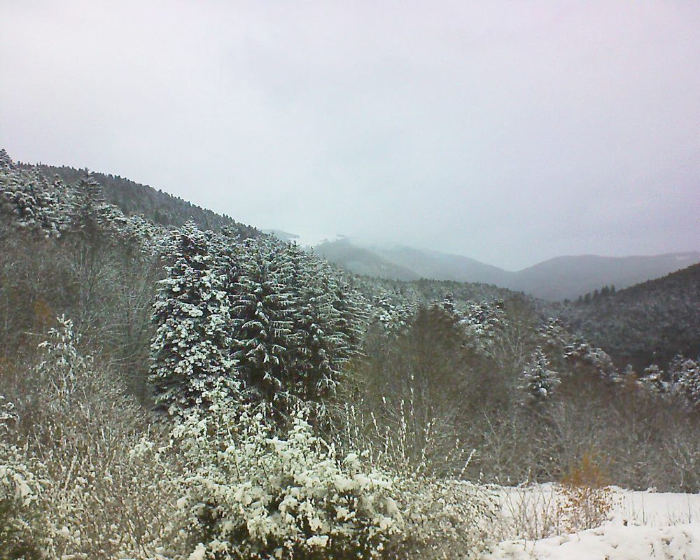 Le petit ballon vu depuis le Domaine Langmatt à Murbach le 28.11.2021 à 10:30 Le petit ballon (Alsace, Vosges) le 28.11.2021 à 10:30