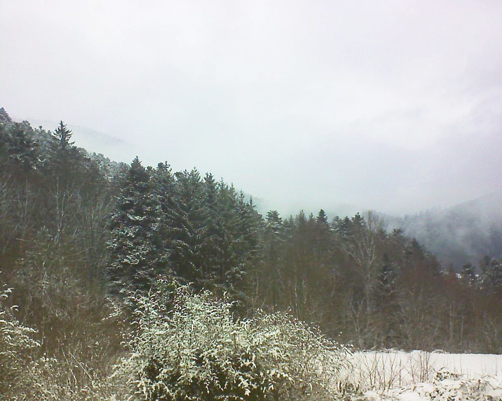 Le petit ballon vu depuis le Domaine Langmatt à Murbach le 11.12.2021 à 11:30 Le petit ballon (Alsace, Vosges) le 11.12.2021 à 11:30