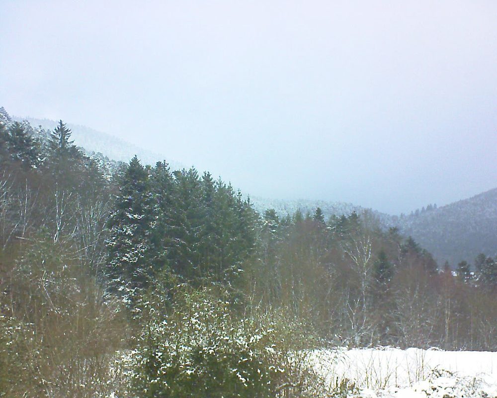 Le petit ballon vu depuis le Domaine Langmatt à Murbach le 11.12.2021 à 14:45 Le petit ballon (Alsace, Vosges) le 11.12.2021 à 14:45