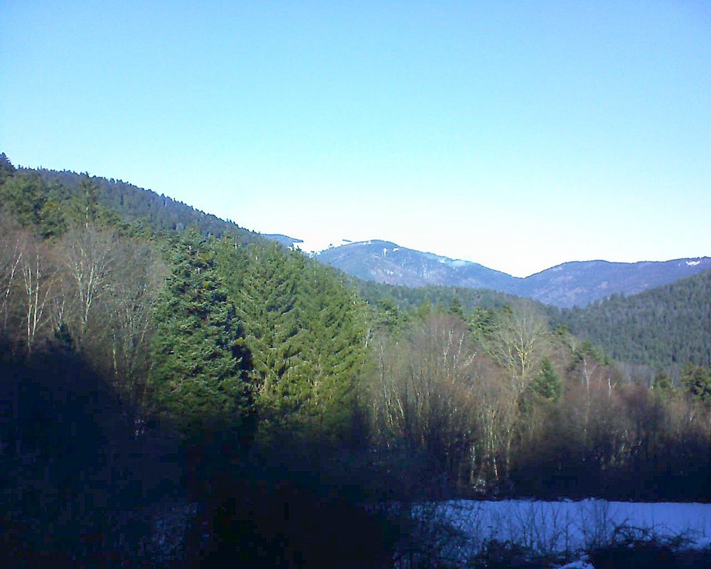 Le petit ballon vu depuis le Domaine Langmatt à Murbach le 13.12.2021 à 12:15 Le petit ballon (Alsace, Vosges) le 13.12.2021 à 12:15