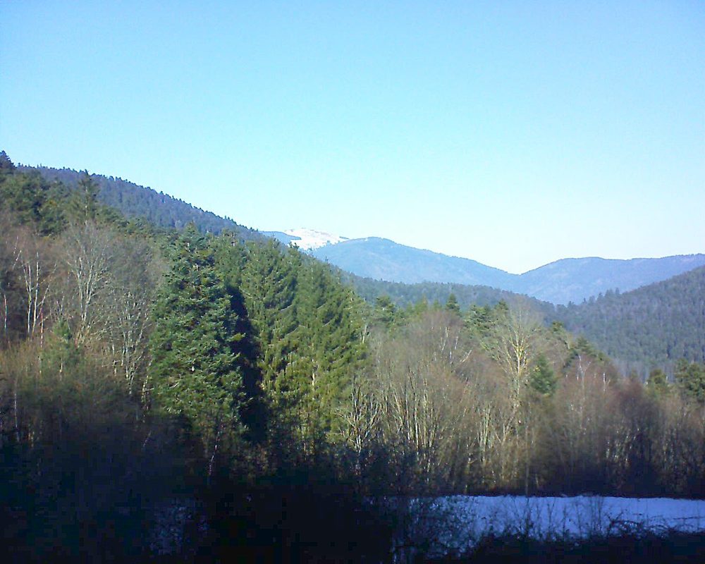 Le petit ballon vu depuis le Domaine Langmatt à Murbach le 21.12.2021 à 12:45 Le petit ballon (Alsace, Vosges) le 21.12.2021 à 12:45