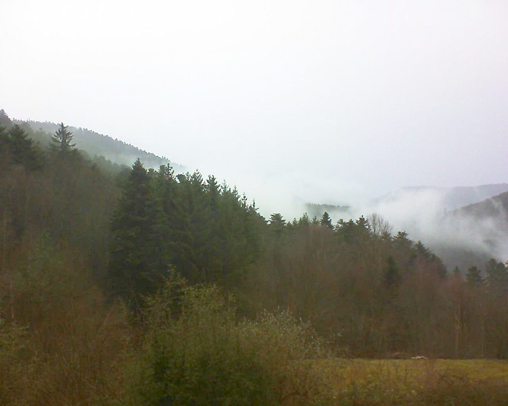 Le petit ballon vu depuis le Domaine Langmatt à Murbach le 29.12.2021 à 11:15 Le petit ballon (Alsace, Vosges) le 29.12.2021 à 11:15