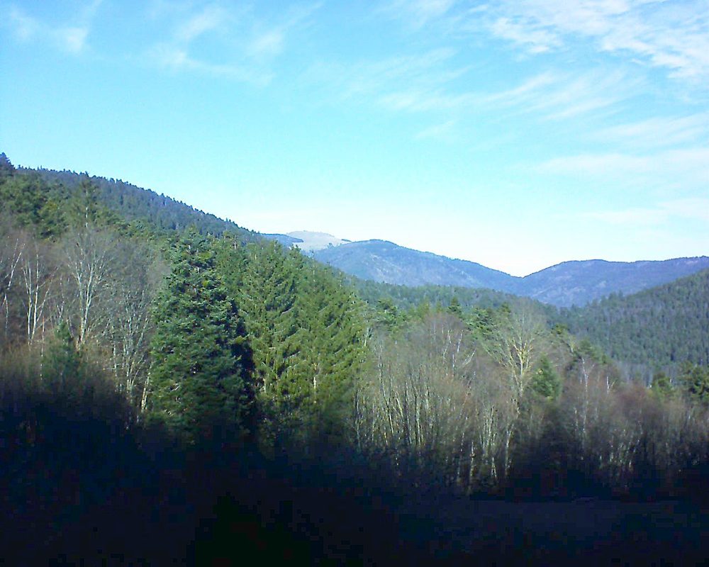Le petit ballon vu depuis le Domaine Langmatt à Murbach le 31.12.2021 à 12:30 Le petit ballon (Alsace, Vosges) le 31.12.2021 à 12:30