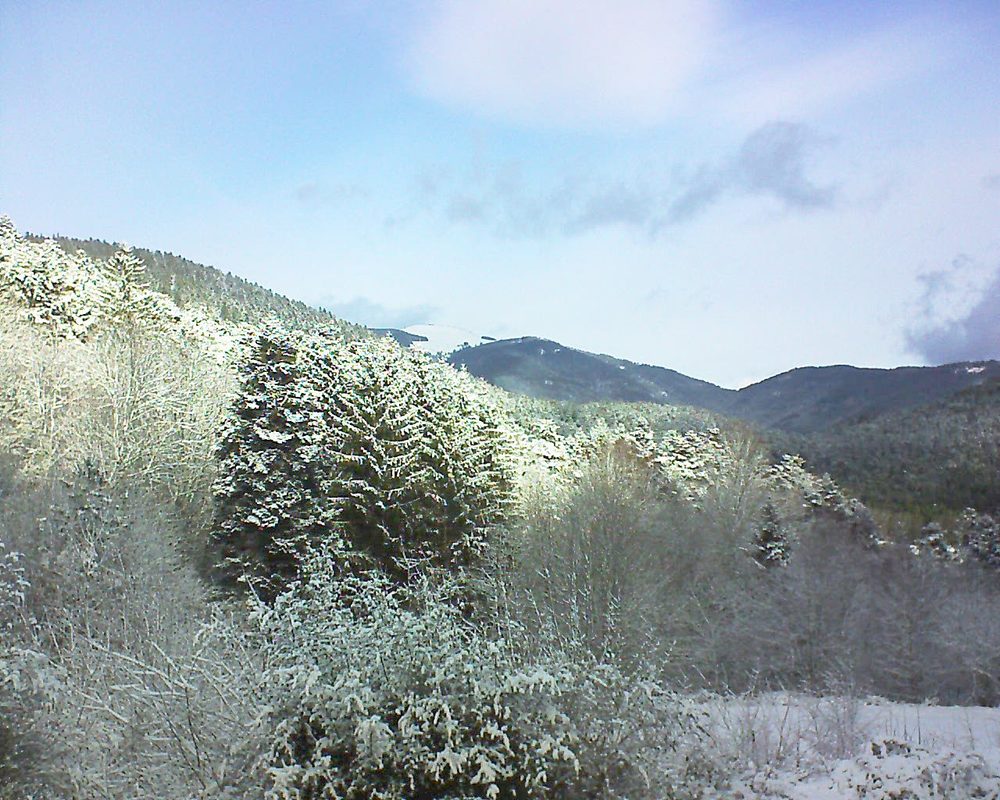 Le petit ballon vu depuis le Domaine Langmatt à Murbach le 08.01.2022 à 11:30 Le petit ballon (Alsace, Vosges) le 08.01.2022 à 11:30