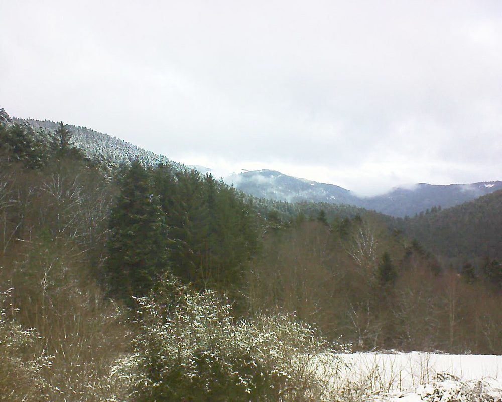 Le petit ballon vu depuis le Domaine Langmatt à Murbach le 10.01.2022 à 11:15 Le petit ballon (Alsace, Vosges) le 10.01.2022 à 11:15