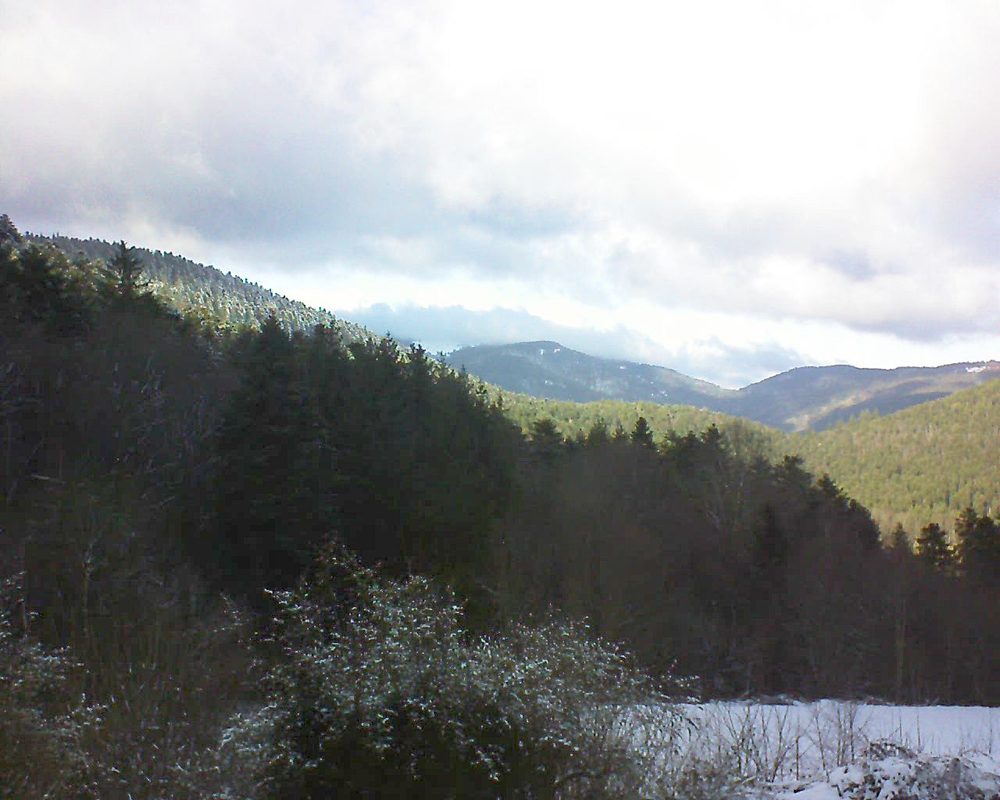 Le petit ballon vu depuis le Domaine Langmatt à Murbach le 10.01.2022 à 14:15 Le petit ballon (Alsace, Vosges) le 10.01.2022 à 14:15