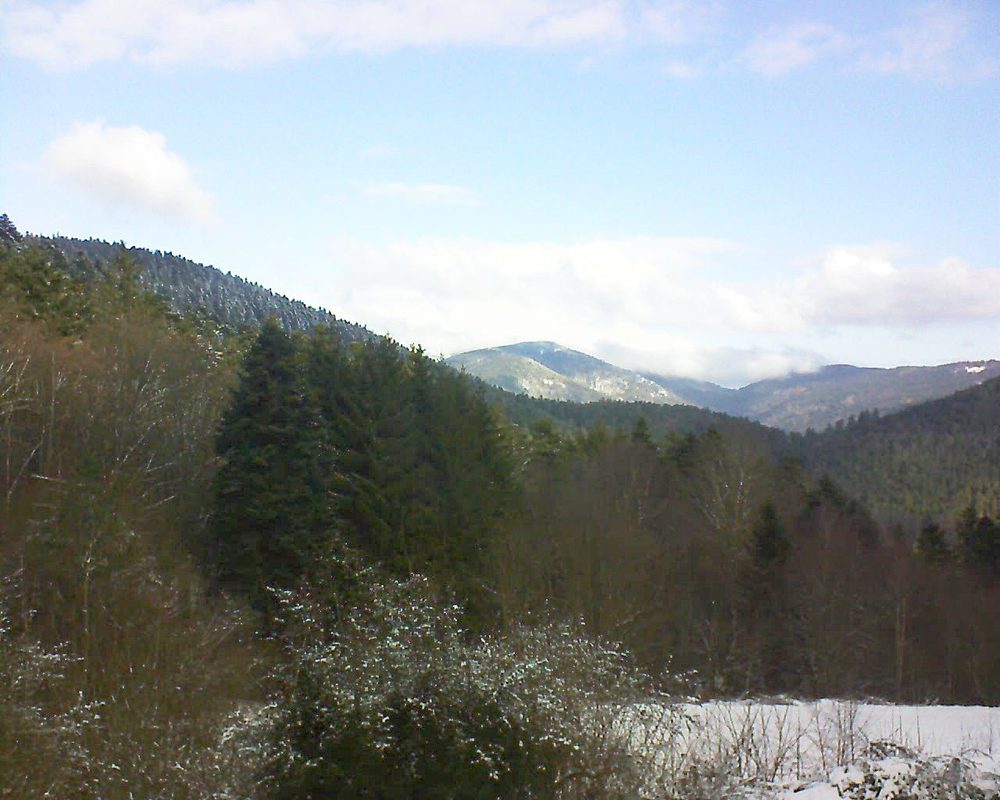 Le petit ballon vu depuis le Domaine Langmatt à Murbach le 11.01.2022 à 11:15 Le petit ballon (Alsace, Vosges) le 11.01.2022 à 11:15