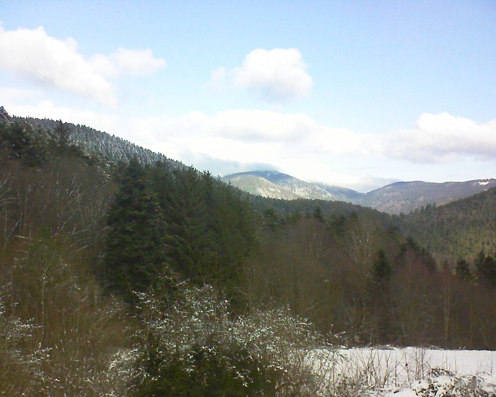 Le petit ballon vu depuis le Domaine Langmatt à Murbach le 11.01.2022 à 11:30 Le petit ballon (Alsace, Vosges) le 11.01.2022 à 11:30
