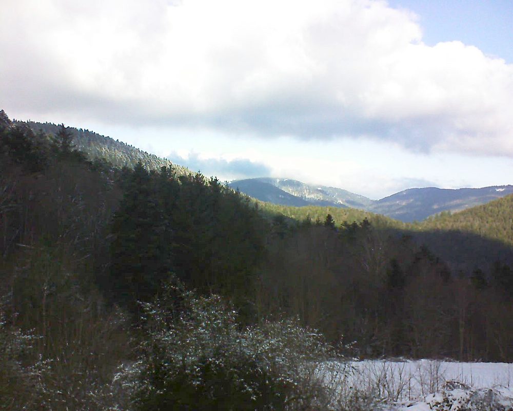 Le petit ballon vu depuis le Domaine Langmatt à Murbach le 11.01.2022 à 12:30 Le petit ballon (Alsace, Vosges) le 11.01.2022 à 12:30
