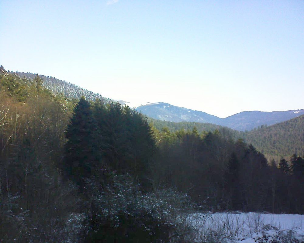 Le petit ballon vu depuis le Domaine Langmatt à Murbach le 12.01.2022 à 11:15 Le petit ballon (Alsace, Vosges) le 12.01.2022 à 11:15