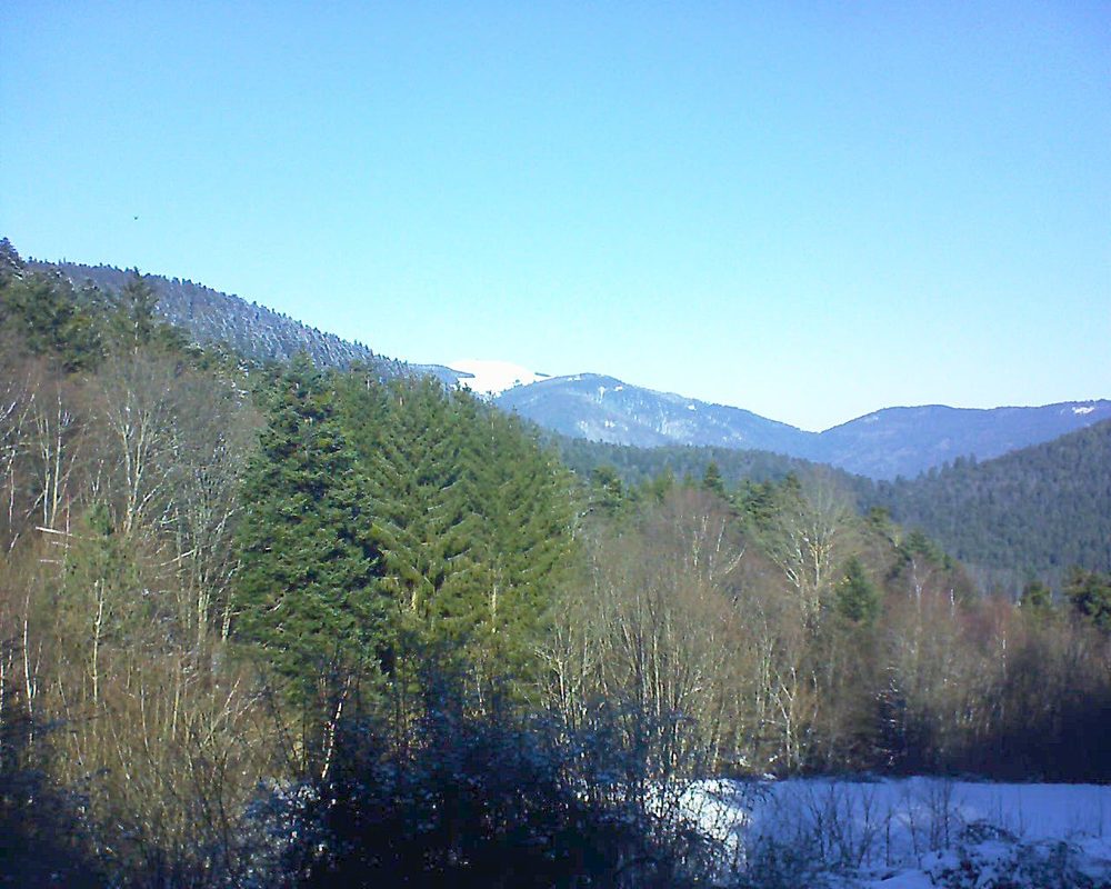 Le petit ballon vu depuis le Domaine Langmatt à Murbach le 12.01.2022 à 12:15 Le petit ballon (Alsace, Vosges) le 12.01.2022 à 12:15