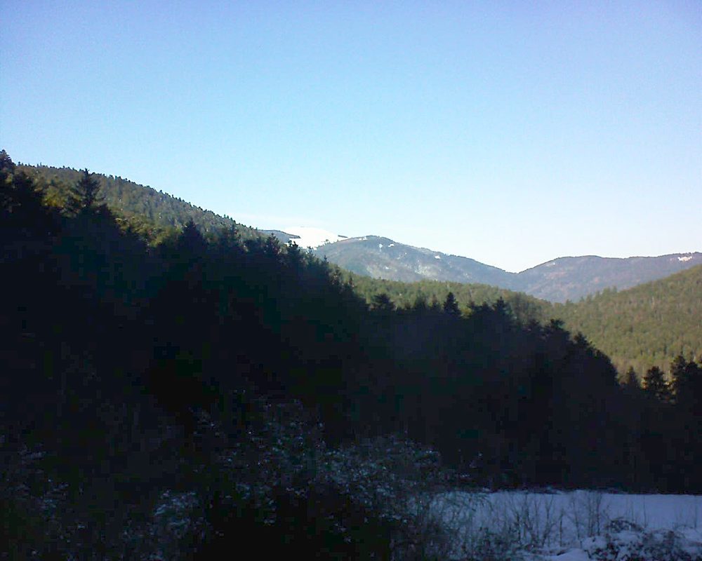 Le petit ballon vu depuis le Domaine Langmatt à Murbach le 12.01.2022 à 14:15 Le petit ballon (Alsace, Vosges) le 12.01.2022 à 14:15