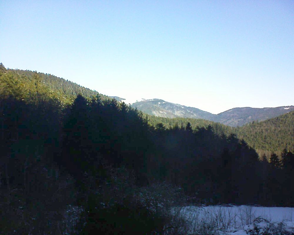 Le petit ballon vu depuis le Domaine Langmatt à Murbach le 13.01.2022 à 11:00 Le petit ballon (Alsace, Vosges) le 13.01.2022 à 11:00