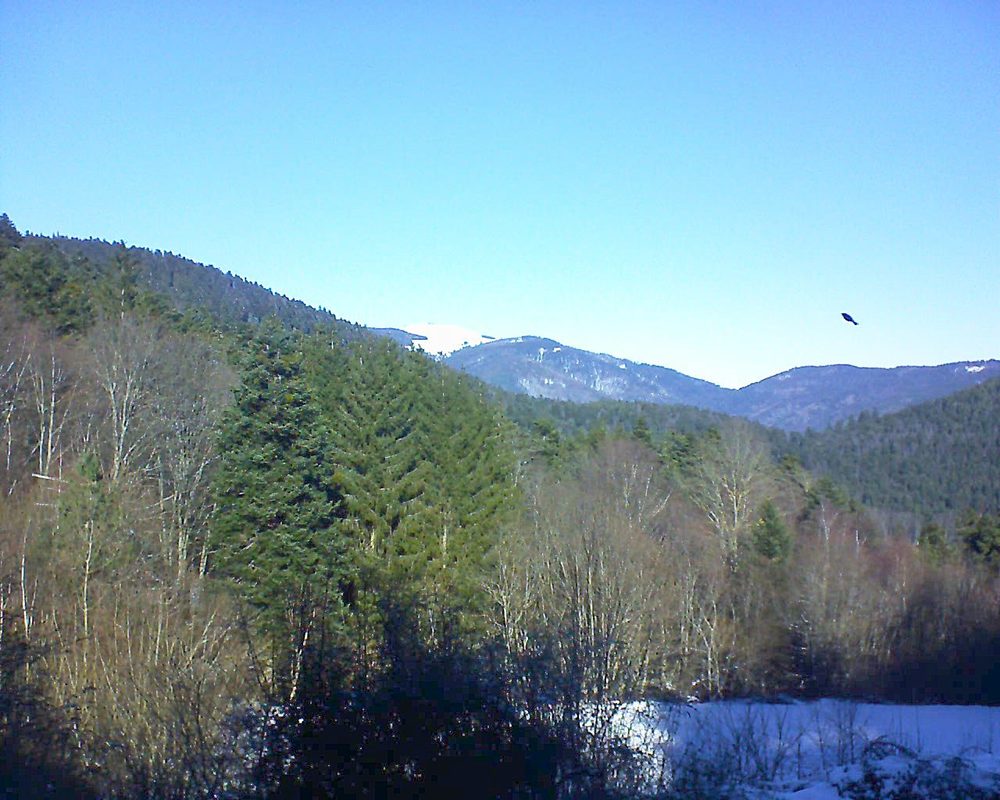 Le petit ballon vu depuis le Domaine Langmatt à Murbach le 13.01.2022 à 12:15 Le petit ballon (Alsace, Vosges) le 13.01.2022 à 12:15