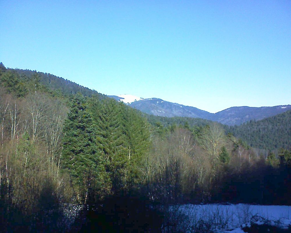 Le petit ballon vu depuis le Domaine Langmatt à Murbach le 14.01.2022 à 11:45 Le petit ballon (Alsace, Vosges) le 14.01.2022 à 11:45
