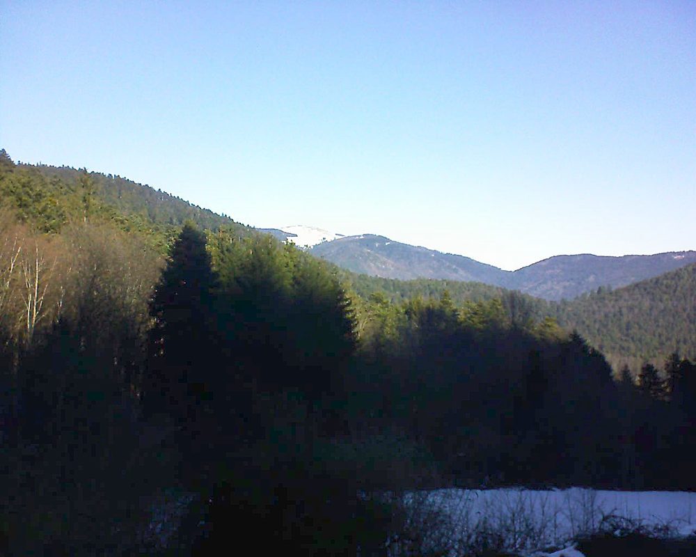 Le petit ballon vu depuis le Domaine Langmatt à Murbach le 15.01.2022 à 11:15 Le petit ballon (Alsace, Vosges) le 15.01.2022 à 11:15