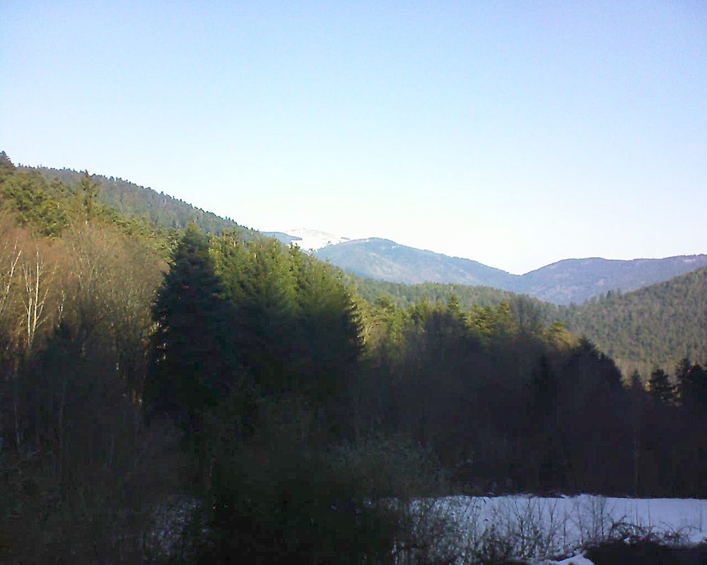 Le petit ballon vu depuis le Domaine Langmatt à Murbach le 16.01.2022 à 11:15 Le petit ballon (Alsace, Vosges) le 16.01.2022 à 11:15