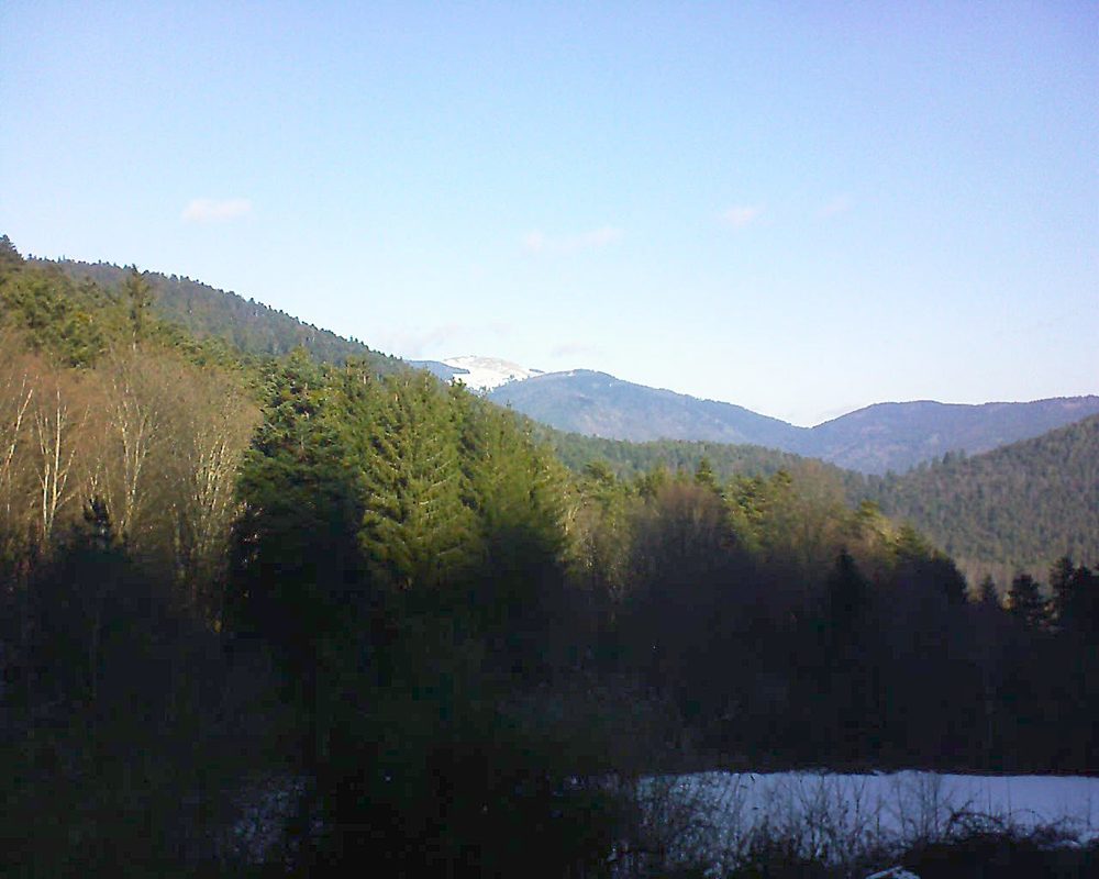 Le petit ballon vu depuis le Domaine Langmatt à Murbach le 19.01.2022 à 11:15 Le petit ballon (Alsace, Vosges) le 19.01.2022 à 11:15