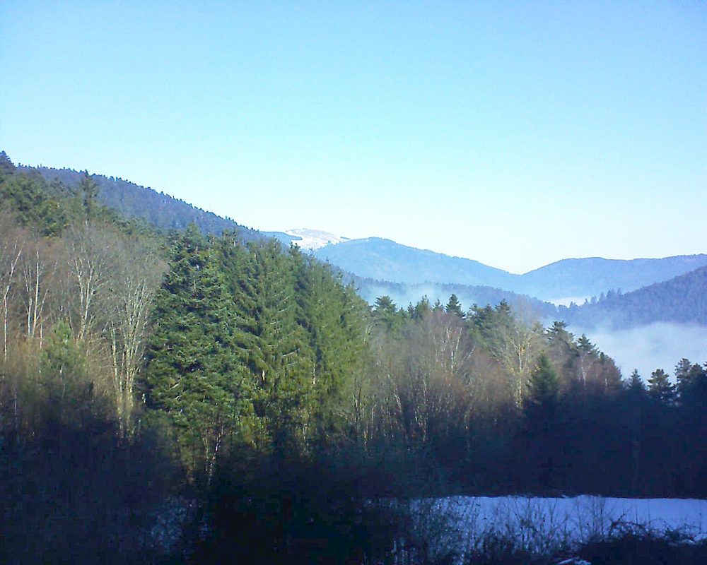 Le petit ballon vu depuis le Domaine Langmatt à Murbach le 26.01.2022 à 11:15 Le petit ballon (Alsace, Vosges) le 26.01.2022 à 11:15
