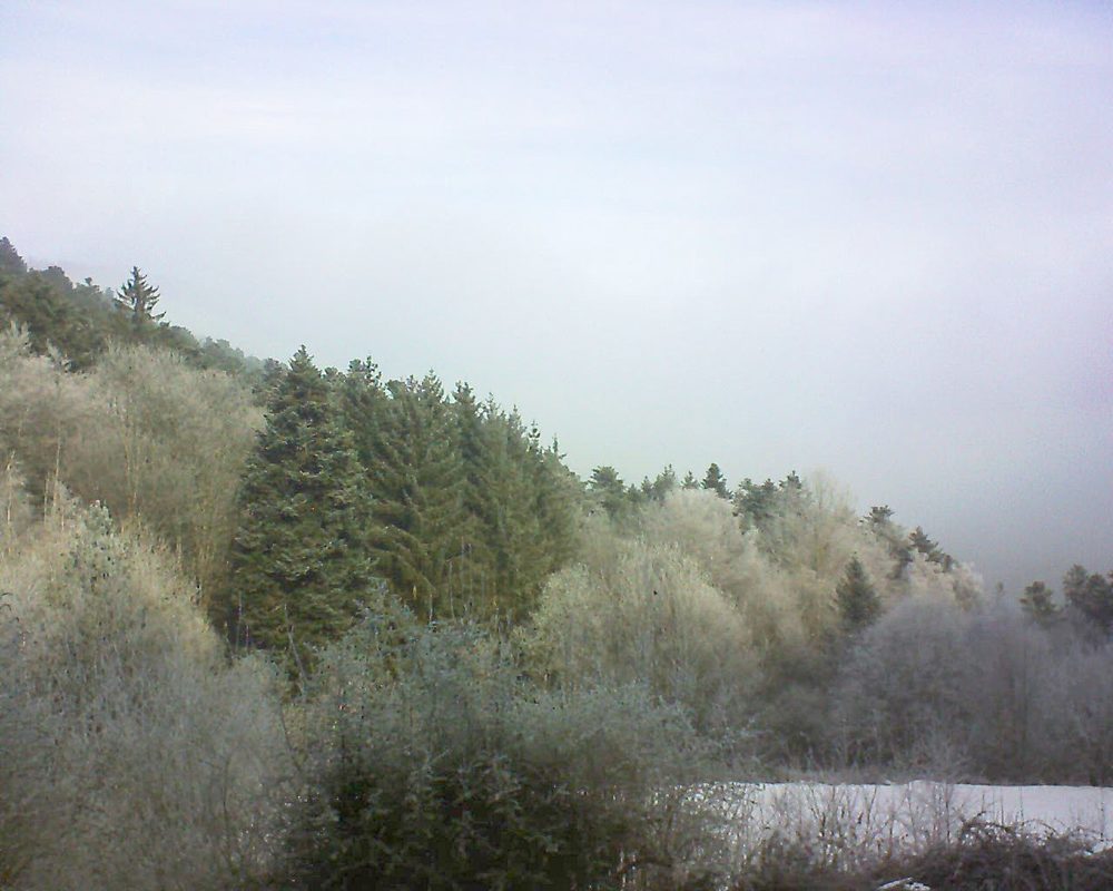 Le petit ballon vu depuis le Domaine Langmatt à Murbach le 27.01.2022 à 11:15 Le petit ballon (Alsace, Vosges) le 27.01.2022 à 11:15