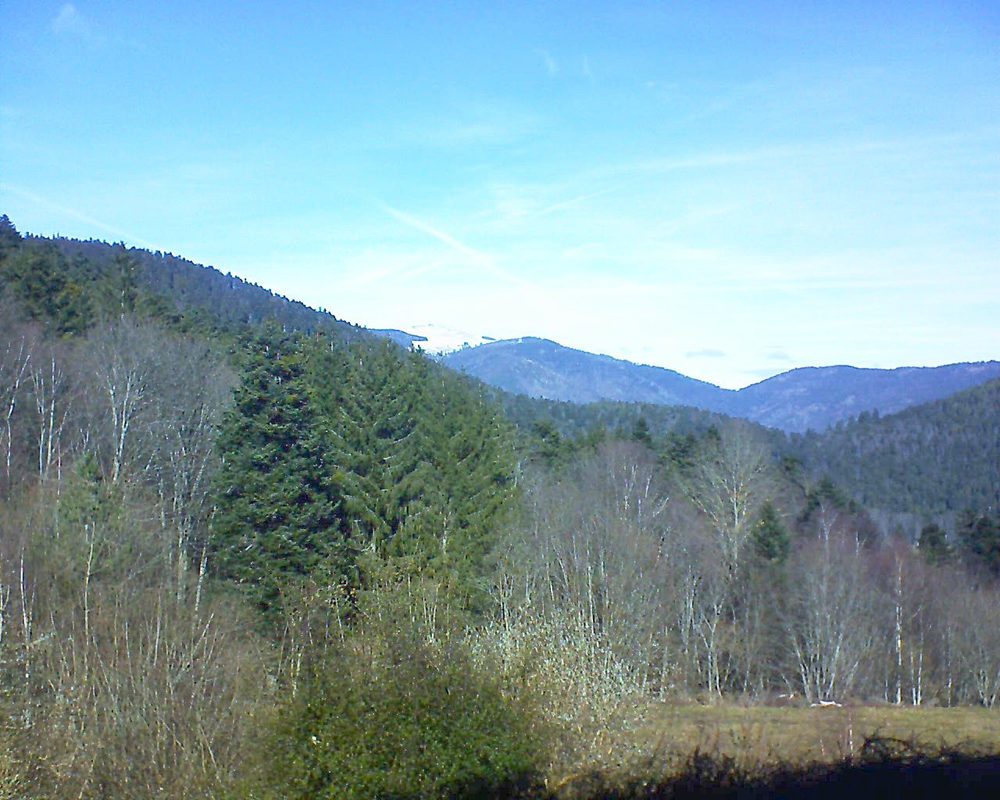 Le petit ballon vu depuis le Domaine Langmatt à Murbach le 08.02.2022 à 12:30 Le petit ballon (Alsace, Vosges) le 08.02.2022 à 12:30