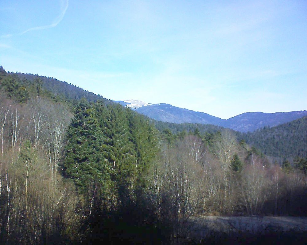 Le petit ballon vu depuis le Domaine Langmatt à Murbach le 12.02.2022 à 11:15 Le petit ballon (Alsace, Vosges) le 12.02.2022 à 11:15