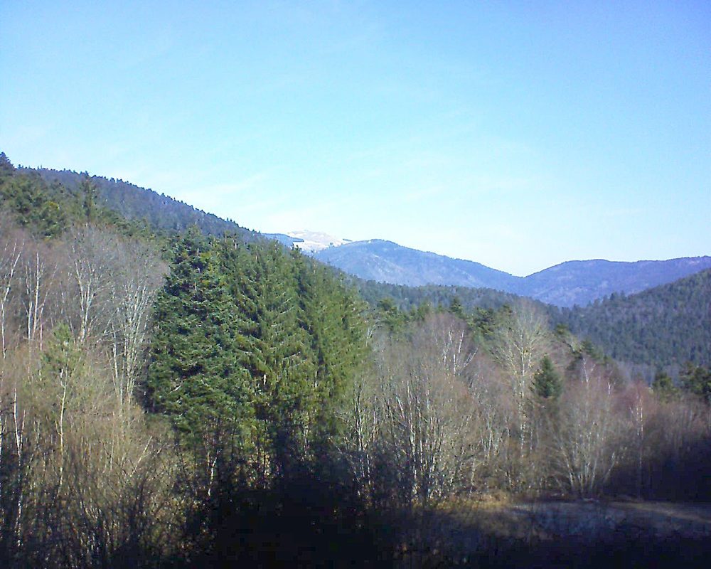 Le petit ballon vu depuis le Domaine Langmatt à Murbach le 13.02.2022 à 11:15 Le petit ballon (Alsace, Vosges) le 13.02.2022 à 11:15