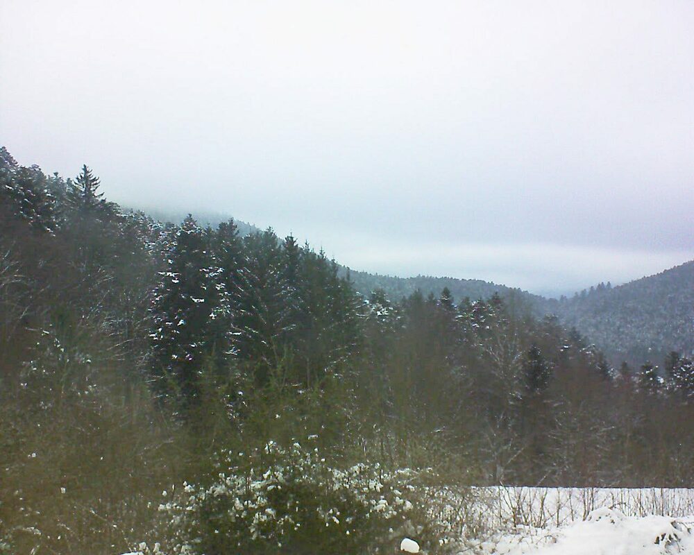 Le petit ballon vu depuis le Domaine Langmatt à Murbach le 24.01.2023 à 09:45 Le petit ballon (Alsace, Vosges) le 24.01.2023 à 09:45
