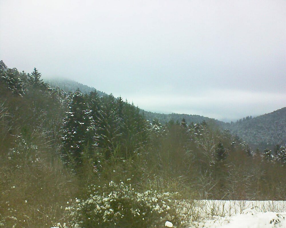 Le petit ballon vu depuis le Domaine Langmatt à Murbach le 24.01.2023 à 11:00 Le petit ballon (Alsace, Vosges) le 24.01.2023 à 11:00