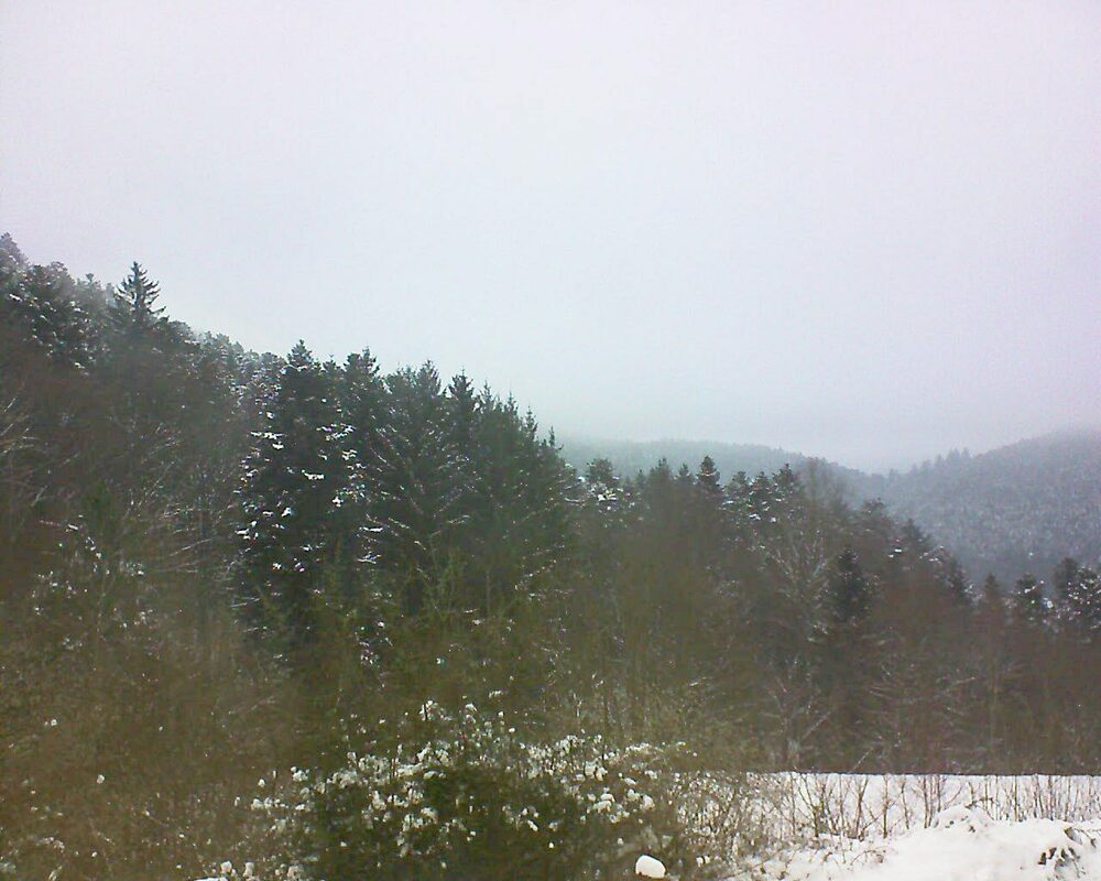 Le petit ballon vu depuis le Domaine Langmatt à Murbach le 25.01.2023 à 09:45 Le petit ballon (Alsace, Vosges) le 25.01.2023 à 09:45