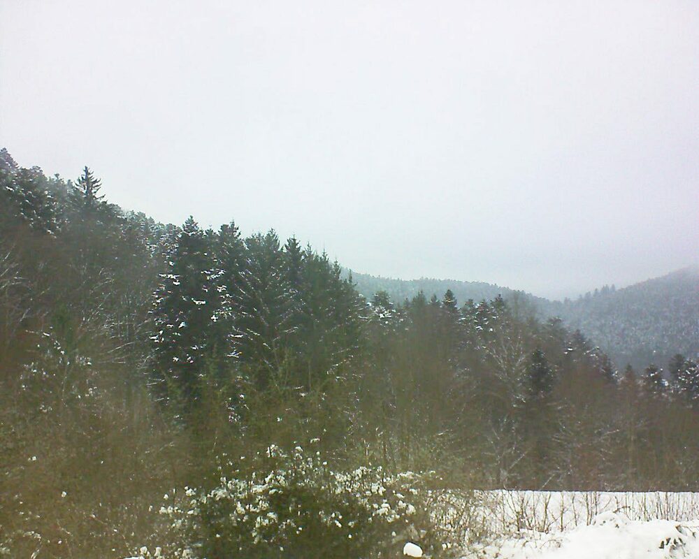 Le petit ballon vu depuis le Domaine Langmatt à Murbach le 25.01.2023 à 10:00 Le petit ballon (Alsace, Vosges) le 25.01.2023 à 10:00