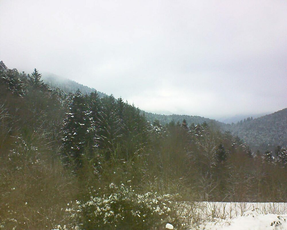 Le petit ballon vu depuis le Domaine Langmatt à Murbach le 25.01.2023 à 11:45 Le petit ballon (Alsace, Vosges) le 25.01.2023 à 11:45