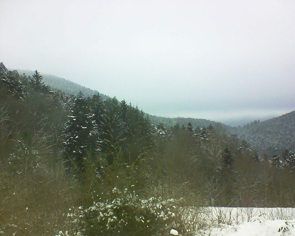 Le petit ballon vu depuis le Domaine Langmatt à Murbach le 27.01.2023 à 10:45 Le petit ballon (Alsace, Vosges) le 27.01.2023 à 10:45