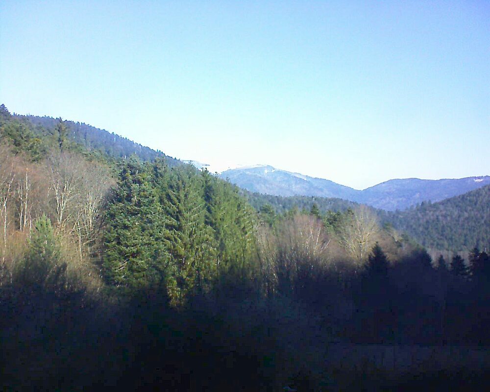 Le petit ballon vu depuis le Domaine Langmatt à Murbach le 07.02.2023 à 10:45 Le petit ballon (Alsace, Vosges) le 07.02.2023 à 10:45