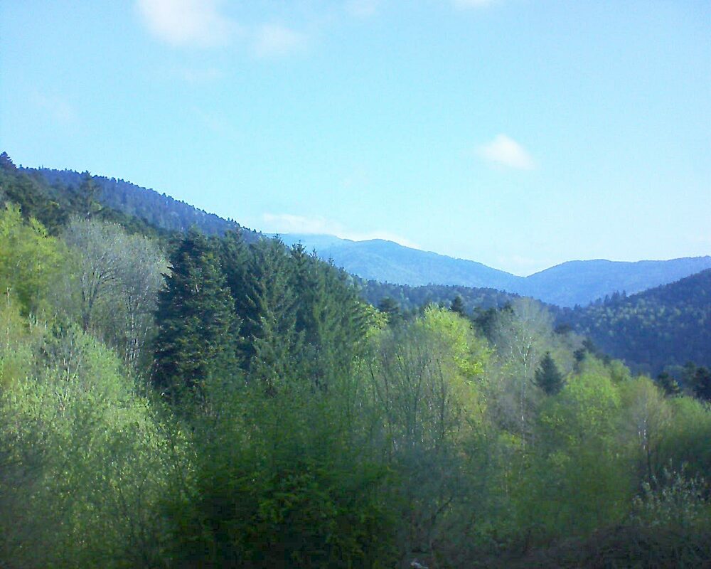 Le petit ballon vu depuis le Domaine Langmatt à Murbach le 03.05.2023 à 09:00 Le petit ballon (Alsace, Vosges) le 03.05.2023 à 09:00