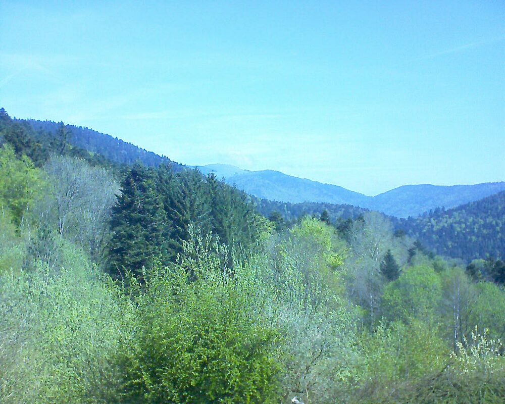 Le petit ballon vu depuis le Domaine Langmatt à Murbach le 03.05.2023 à 11:00 Le petit ballon (Alsace, Vosges) le 03.05.2023 à 11:00