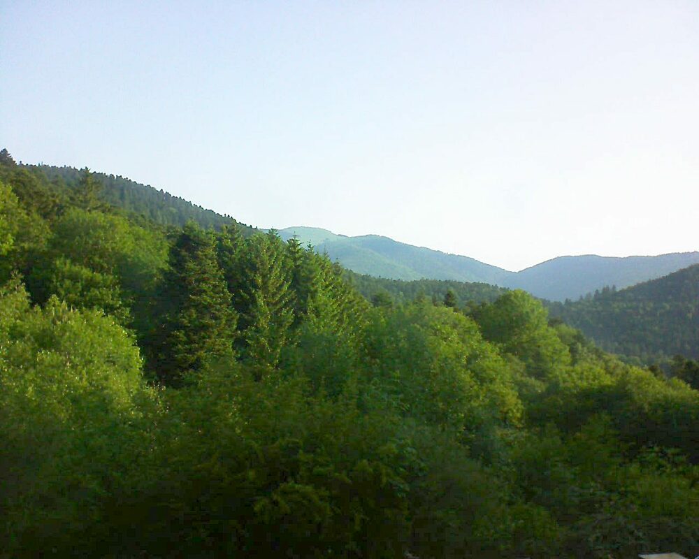 Le petit ballon vu depuis le Domaine Langmatt à Murbach le 03.06.2023 à 08:00 Le petit ballon (Alsace, Vosges) le 03.06.2023 à 08:00