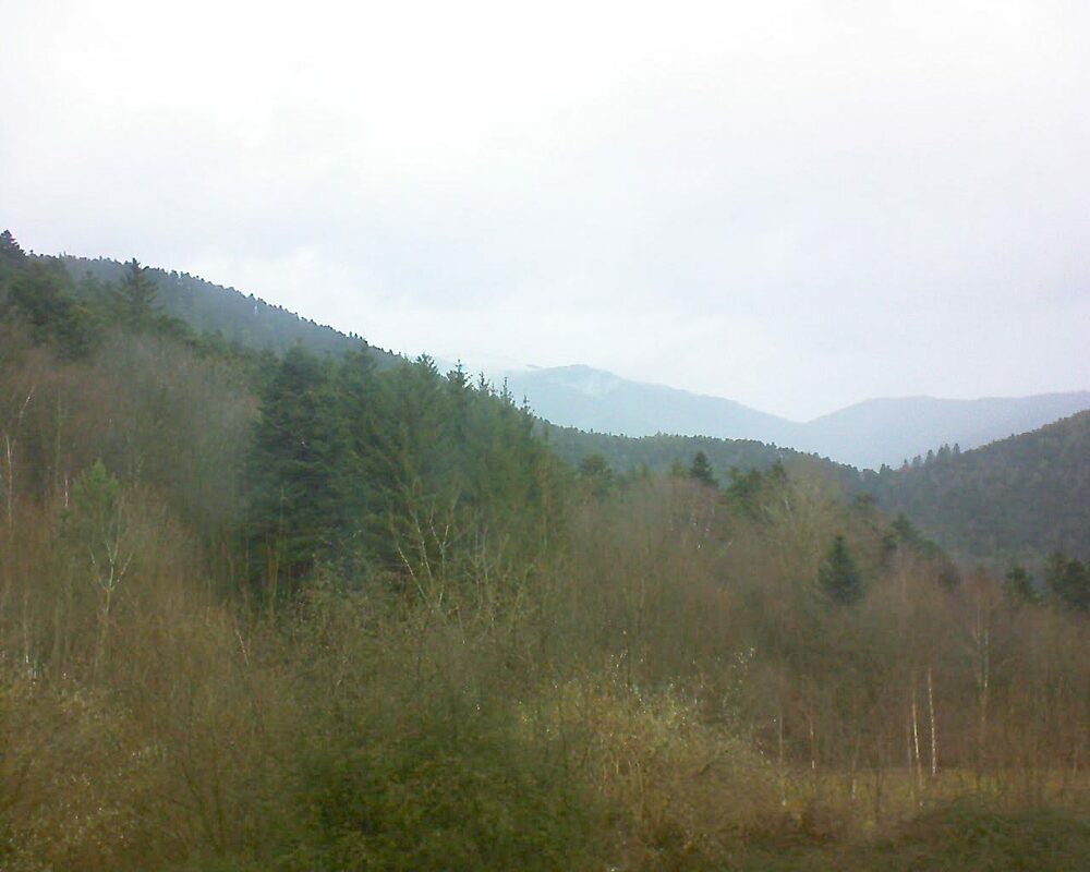 Le petit ballon vu depuis le Domaine Langmatt à Murbach le 23.01.2024 à 12:15 Le petit ballon (Alsace, Vosges) le 23.01.2024 à 12:15