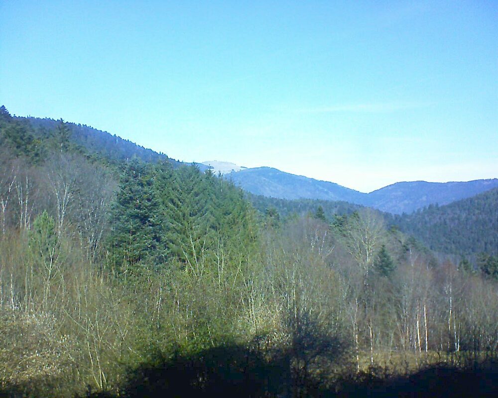 Le petit ballon vu depuis le Domaine Langmatt à Murbach le 03.02.2024 à 12:15 Le petit ballon (Alsace, Vosges) le 03.02.2024 à 12:15