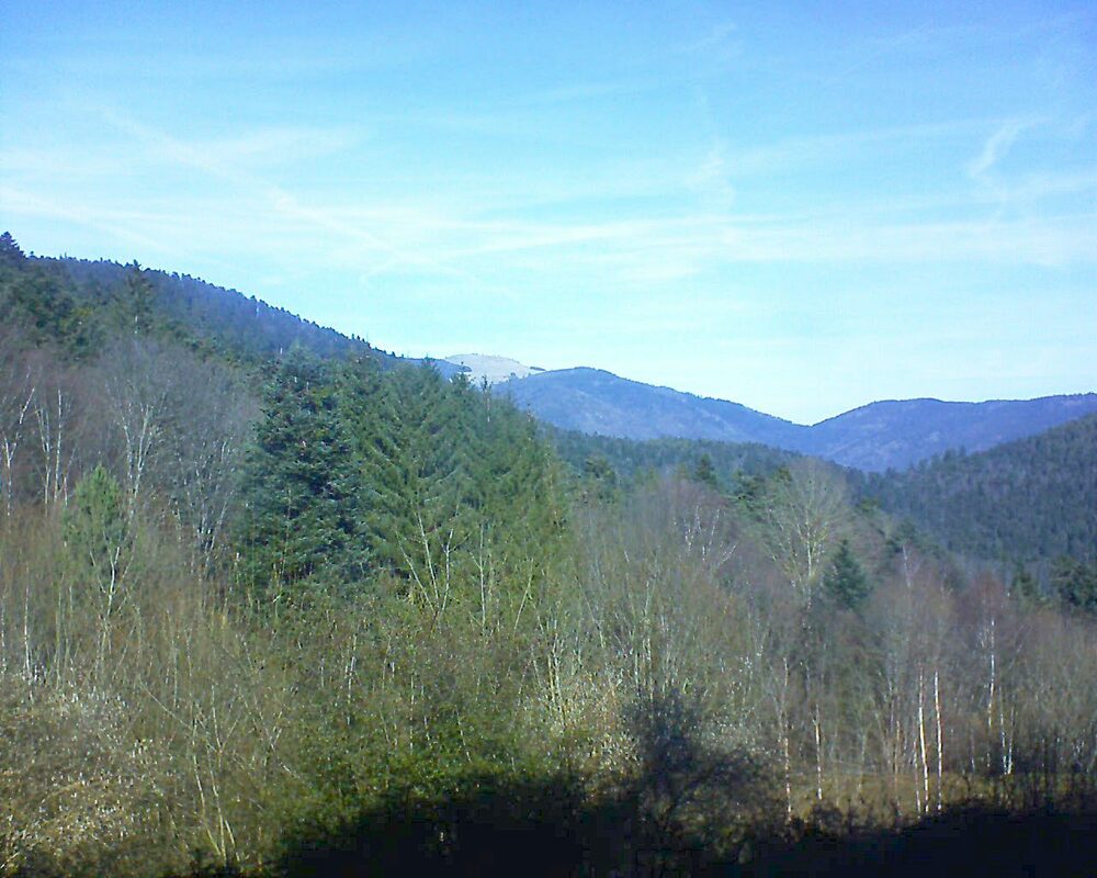 Le petit ballon vu depuis le Domaine Langmatt à Murbach le 05.02.2024 à 12:15 Le petit ballon (Alsace, Vosges) le 05.02.2024 à 12:15
