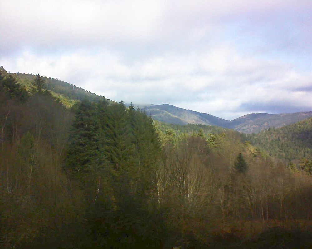 Le petit ballon vu depuis le Domaine Langmatt à Murbach le 06.02.2024 à 11:30 Le petit ballon (Alsace, Vosges) le 06.02.2024 à 11:30