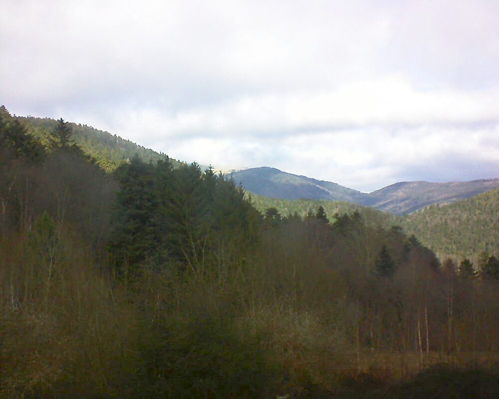 Le petit ballon vu depuis le Domaine Langmatt à Murbach le 06.02.2024 à 12:15 Le petit ballon (Alsace, Vosges) le 06.02.2024 à 12:15